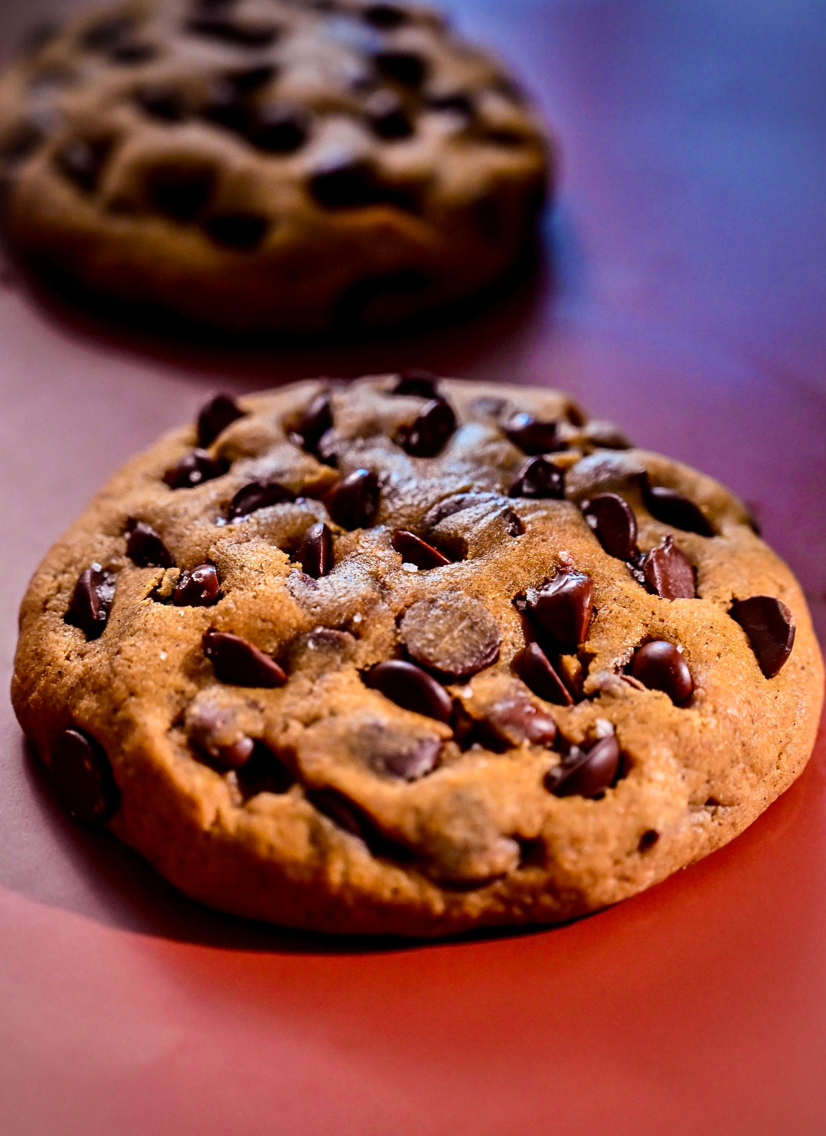 The Chocolate Chip