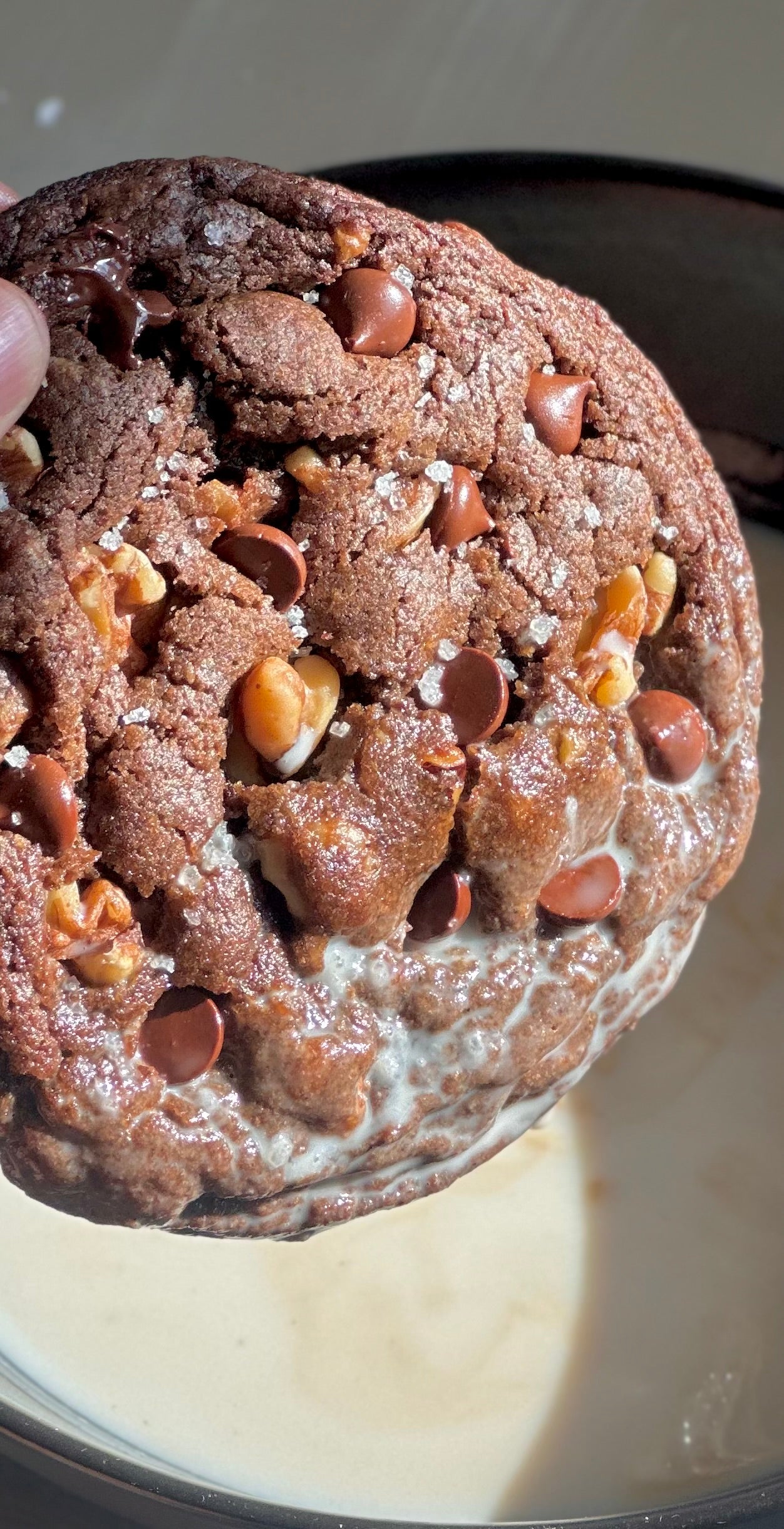 Rich, fudgy, and irresistibly decadent.

This double chocolate walnut cookie is a bold fusion of deep cocoa and molten chocolate chunks,

balanced by the earthy crunch of toasted walnuts.

Crisp on the edges, soft at the center, every bite is a rush of warmth, texture, and pure satisfaction.

Not just a cookie - an experience.